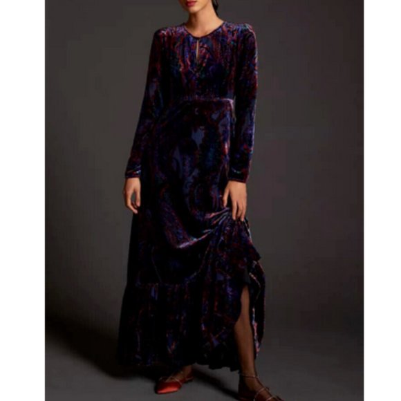 Anthropologie 6 NWT Burnout Velvet Maxi Dress Floral New
